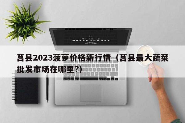 莒县2023菠萝价格新行情（莒县最大蔬菜批发市场在哪里?）